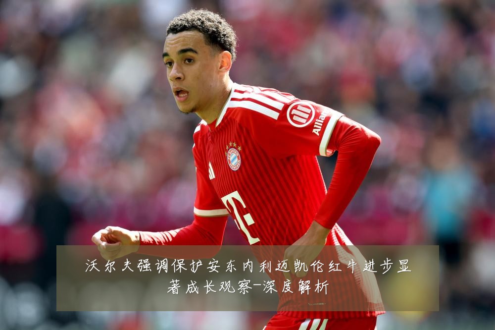 沃尔夫强调保护安东内利迈凯伦红牛进步显著成长观察-深度解析