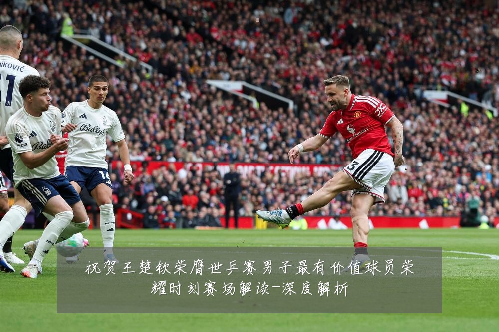 祝贺王楚钦荣膺世乒赛男子最有价值球员荣耀时刻赛场解读-深度解析