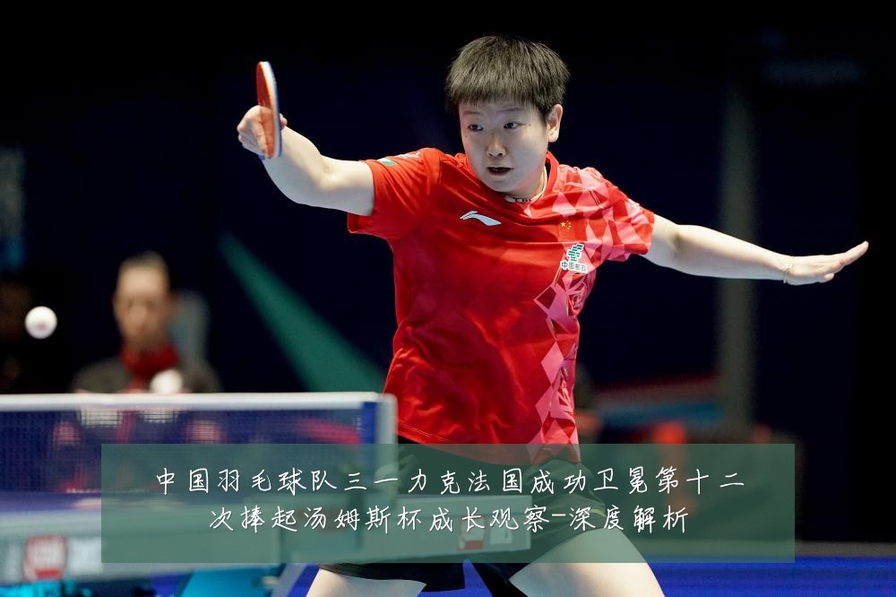 中国羽毛球队三一力克法国成功卫冕第十二次捧起汤姆斯杯成长观察-深度解析